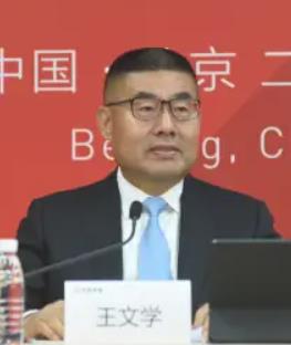 王文学