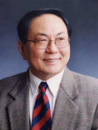 杜善义