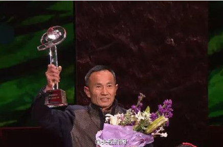 朱晓晖