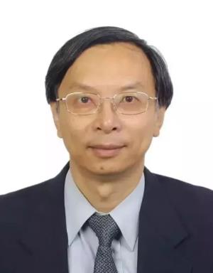 叶嘉安