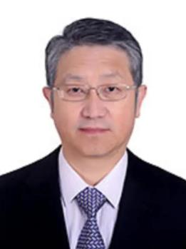刘泽金