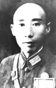 杨宏光