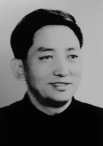 布多吉
